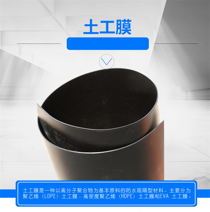 1611457957179878.jpg 鴻躍-2.jpg