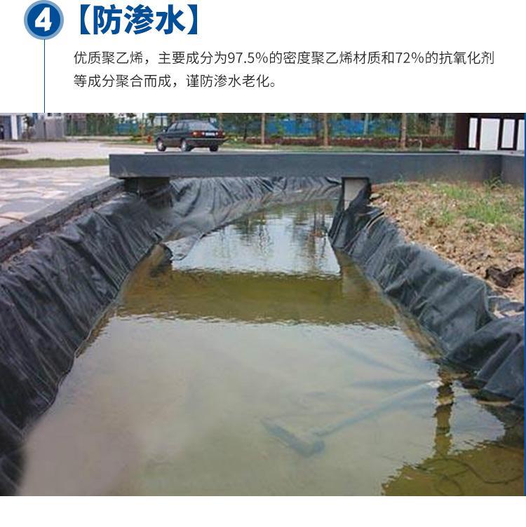 1611458181208437.jpg 8.jpg