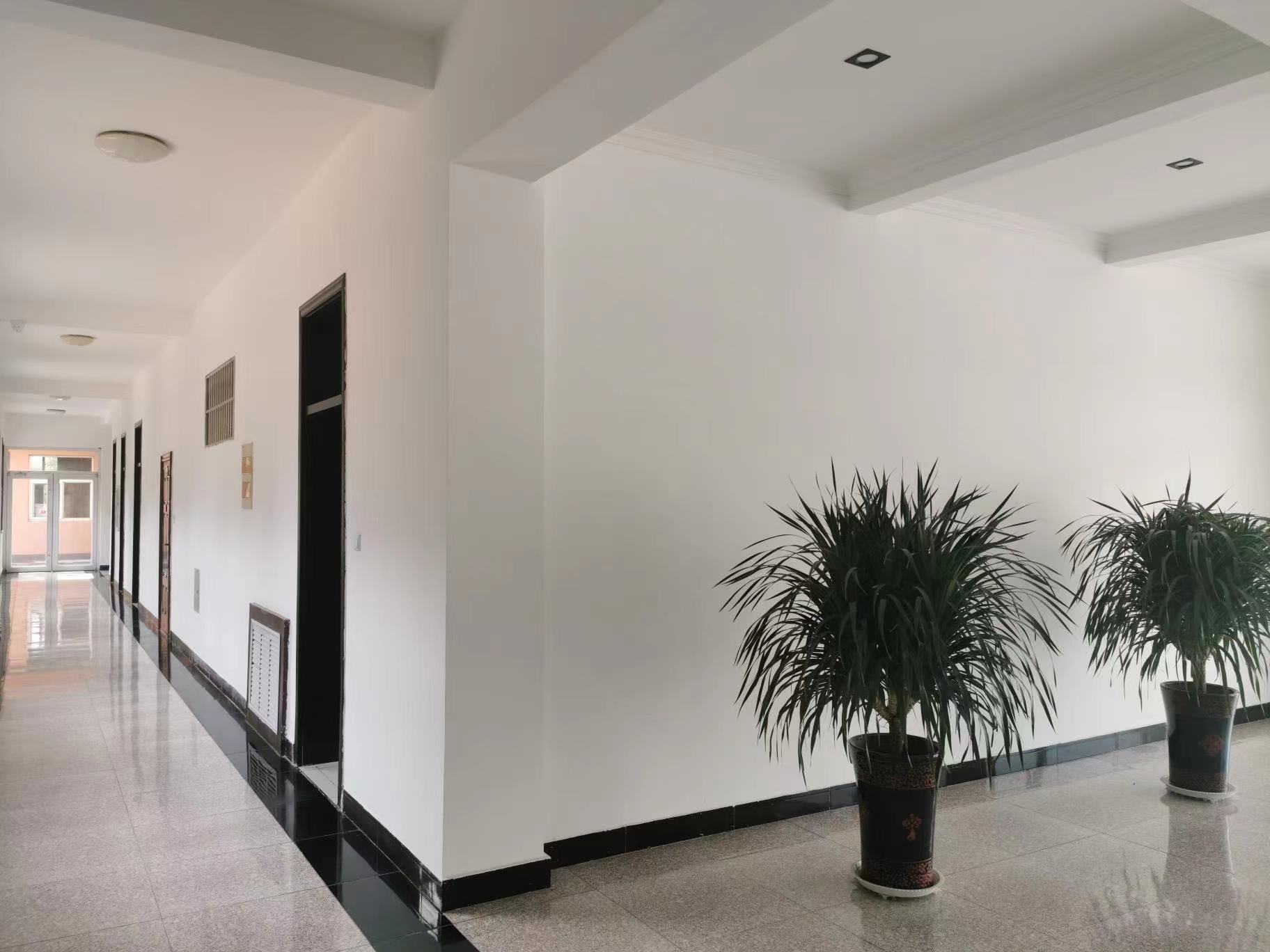 1645494557169741.jpg 1645494557169741.jpg